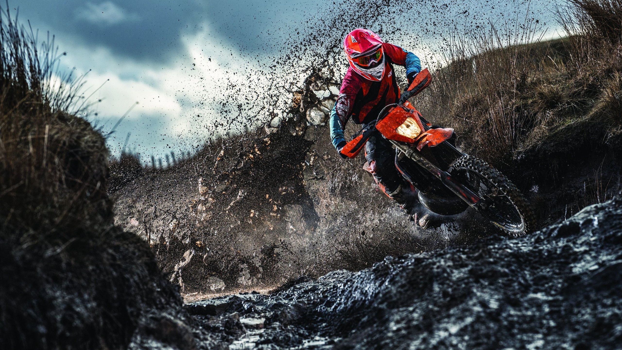 世界杯·唯一指定入口-Ming逆境首秀燃爆全场，塞尔维亚观众见证王者重生